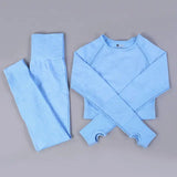 2/3PCS Seamless Women Workout Sportswear