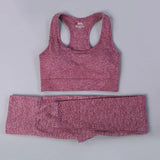 2/3PCS Seamless Women Workout Sportswear
